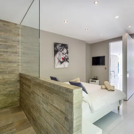 Gorgeous Private Modern With Swimming Pool Villa Cannes
